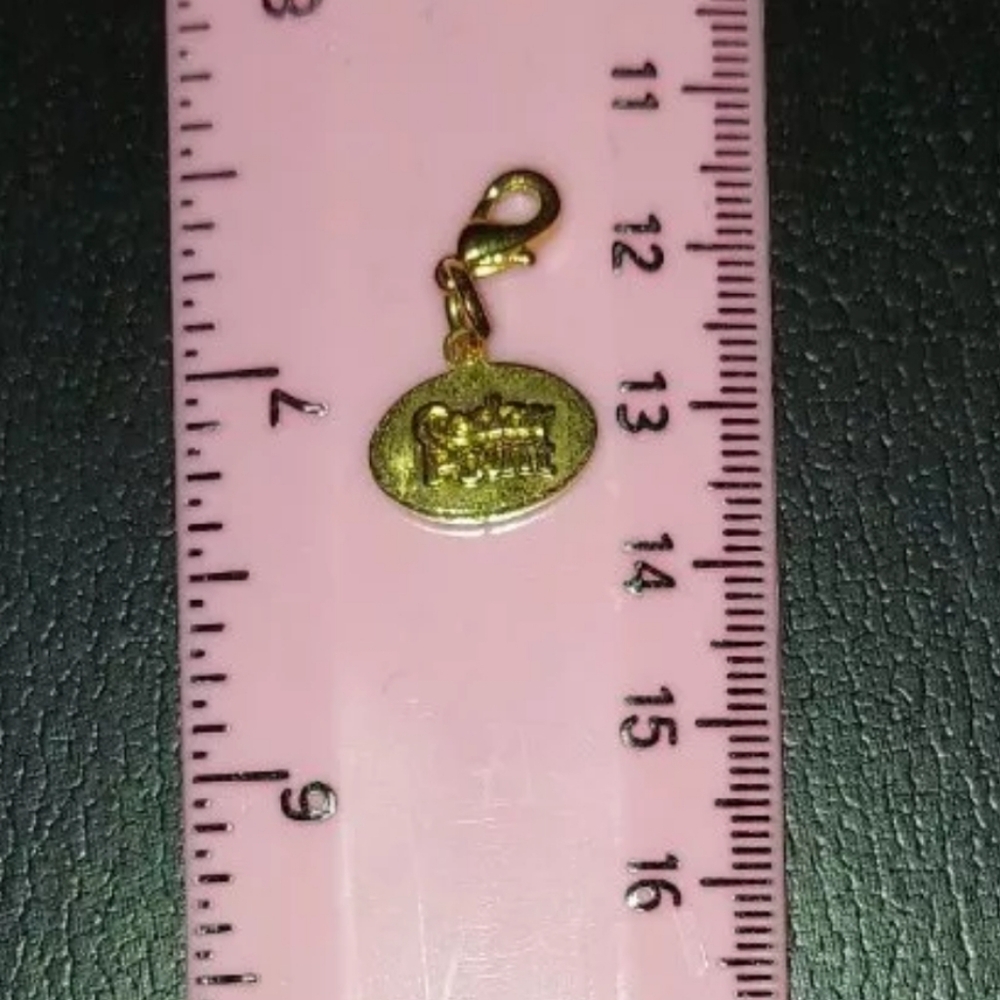 Rare, Official Cedar Point Ride Charm - Cedar Point (Discontinued) - Picture 2 of 16